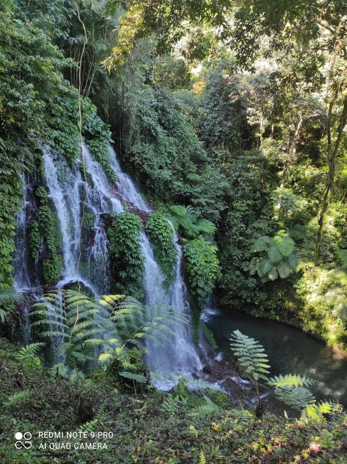 Wanagiri Nature Trekking Gallery
