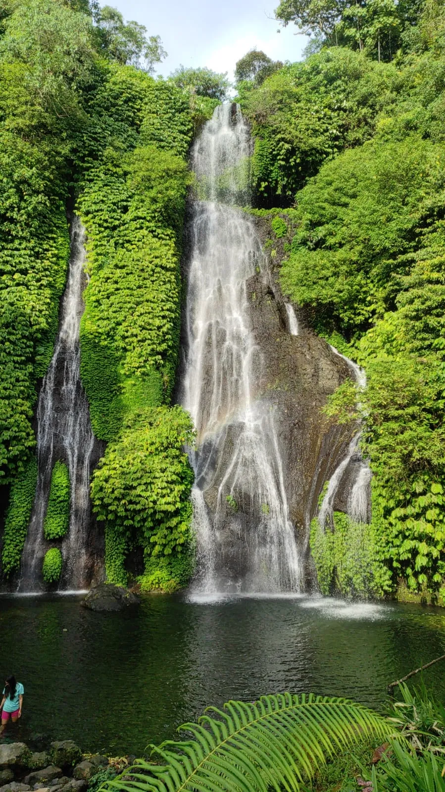 Wanagiri Nature Trekking Gallery