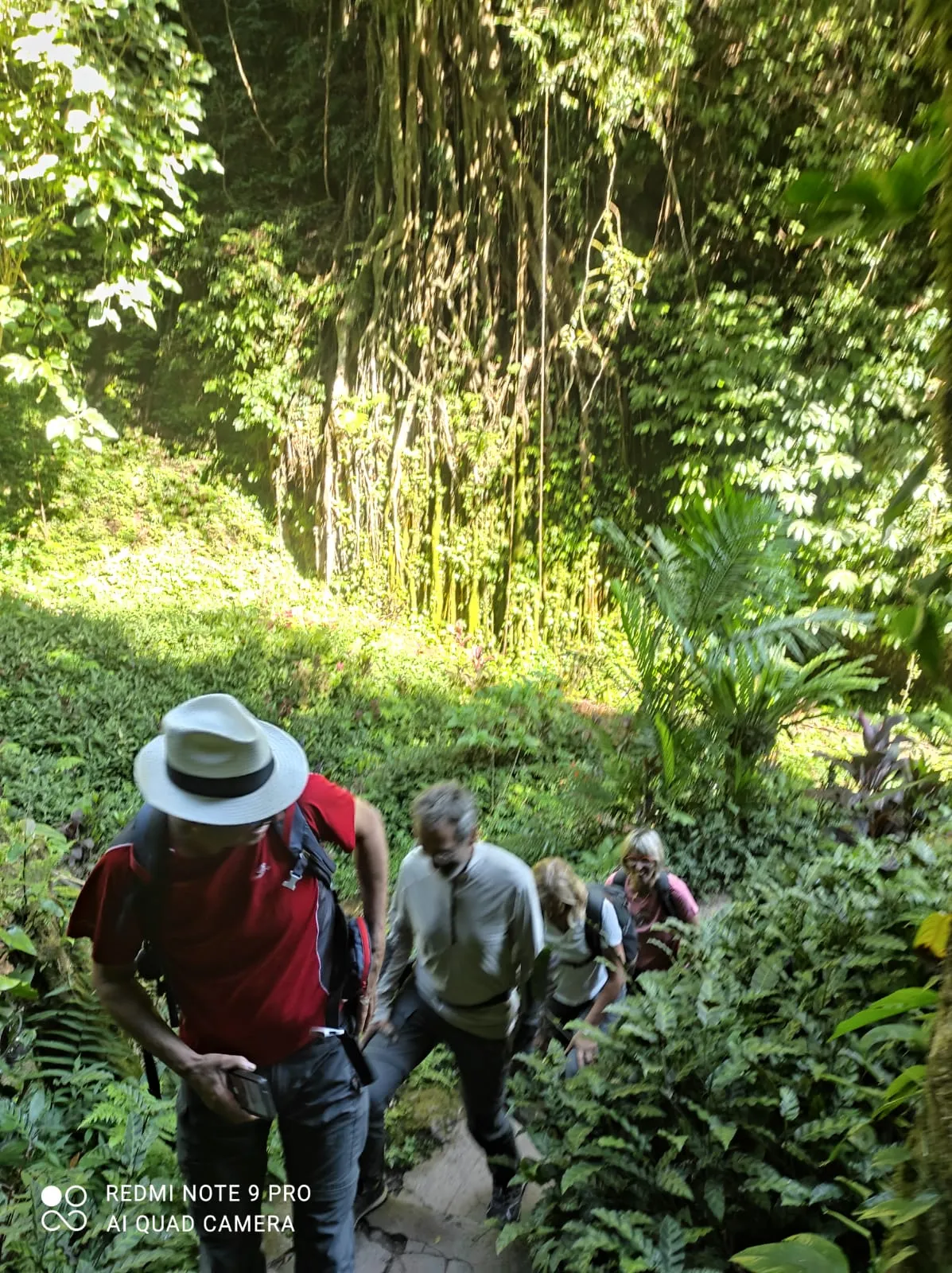 Wanagiri Nature Trekking Gallery