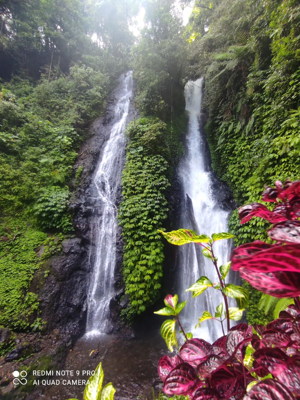 Wanagiri Nature Trekking Gallery