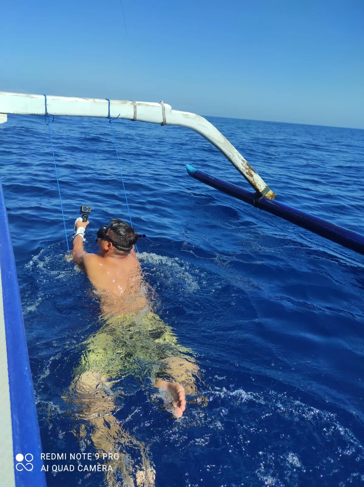 Exlcusive Dolphin Cruise Gallery